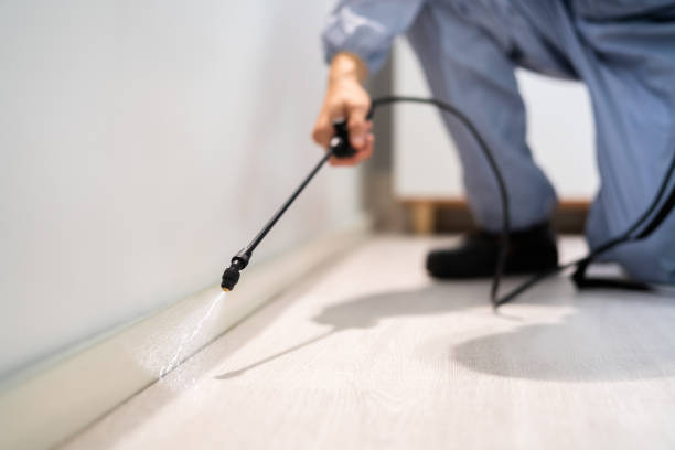 Licensed Mosquito Control service in Fairmont City, IL - Show Me Pest Control