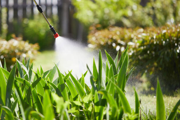24/7 Emergency Mosquito Control experts in Fairmont City, IL