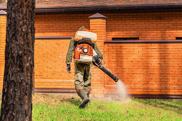 Top rated local Mosquito Control specialists in Fairmont City, IL